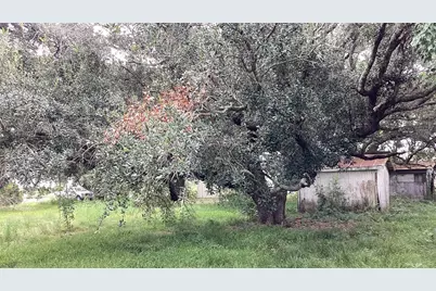 0 County Road 758, Rosharon, TX 77583 - Photo 24