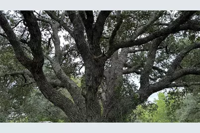 0 County Road 758, Rosharon, TX 77583 - Photo 22