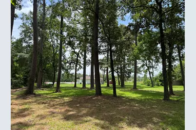 17230 Fm 1488 Road, Magnolia, TX 77354 - Photo 10