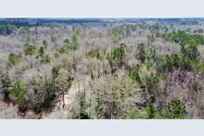 240 County Road 2017, Daisetta, TX 77533 - Photo 4