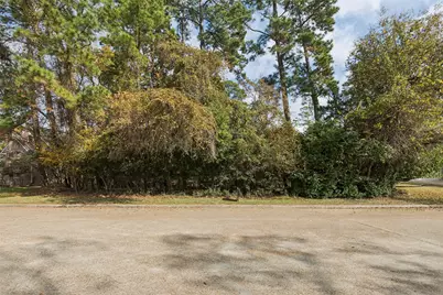 3058 Lake Island Drive, Montgomery, TX 77356 - Photo 12