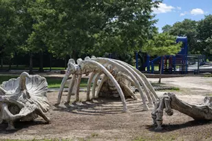 207 Tabor St, Houston, TX 77009 - Photo 24