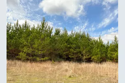 00000 Fm 1746, Spurger, TX 77660 - Photo 4
