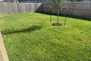 203 Comal Dr, Huntsville, TX 77340 - Photo 8