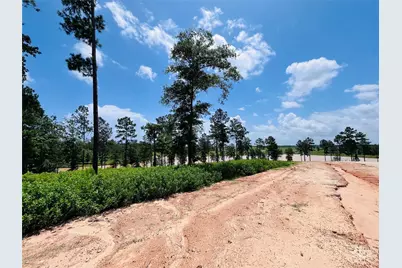 0 Quail Alley Circle, Livingston, TX 77351 - Photo 8