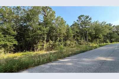 205 County Road 6311, Dayton, TX 77535 - Photo 1