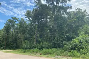 10 Redbud Dr, Conroe, TX 77302 - Photo 6