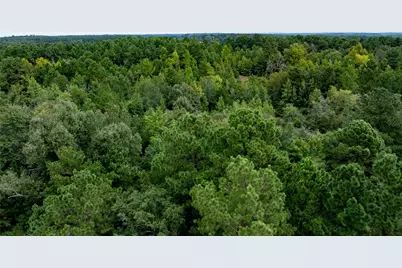 22 Acr Private Road 5040, Grapeland, TX 75844 - Photo 10