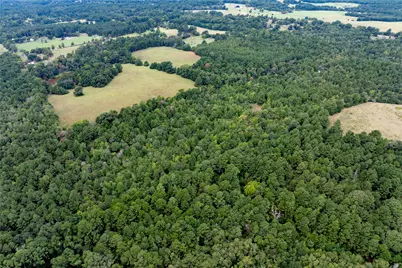 22 Acr Private Road 5040, Grapeland, TX 75844 - Photo 2
