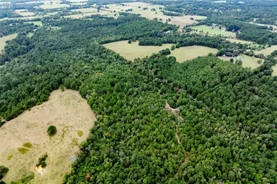 22 Acr Private Road 5040, Grapeland, TX 75844 - Photo 14