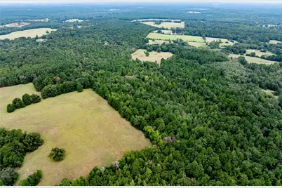 22 Acr Private Road 5040, Grapeland, TX 75844 - Photo 6