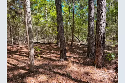 Tbd County Road 4260, Woodville, TX 75979 - Photo 28
