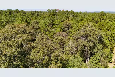 Tbd County Road 4260, Woodville, TX 75979 - Photo 38