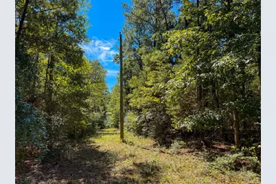 Tbd County Road 4260, Woodville, TX 75979 - Photo 34