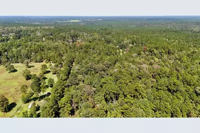 Tbd County Road 4260, Woodville, TX 75979 - Photo 26