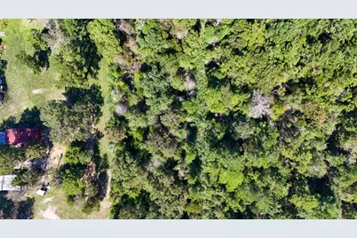 Tbd County Road 4260, Woodville, TX 75979 - Photo 6