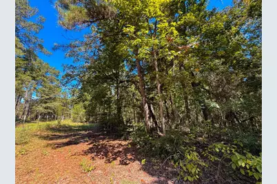 Tbd County Road 4260, Woodville, TX 75979 - Photo 22