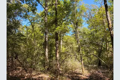 Tbd County Road 4260, Woodville, TX 75979 - Photo 16