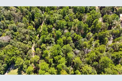 Tbd County Road 4260, Woodville, TX 75979 - Photo 12