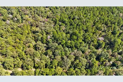 Tbd County Road 4260, Woodville, TX 75979 - Photo 18