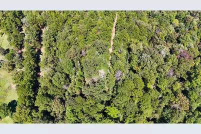 Tbd County Road 4260, Woodville, TX 75979 - Photo 10