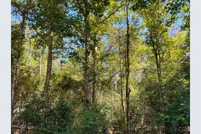 Tbd County Road 4260, Woodville, TX 75979 - Photo 20