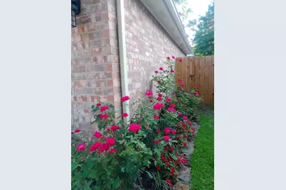 18719 Candle Park Drive, Spring, TX 77388 - Photo 8