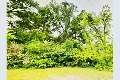 0 Harrison Street, Livingston, TX 77351 - Photo 4