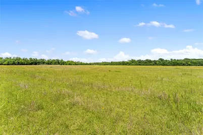 10840 Fm-442, Boling, TX 77420 - Photo 26