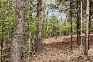 0 County Road 4710 Lot 465, LaRue, TX 75770 - Photo 22