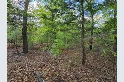 0 County Road 4710 Lot 465, LaRue, TX 75770 - Photo 2