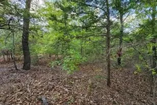 0 County Road 4710 Lot 465, LaRue, TX 75770 - Photo 2