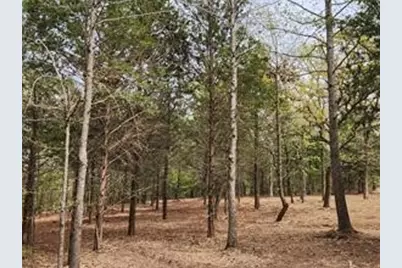 0 County Road 4710 Lot 465, LaRue, TX 75770 - Photo 6