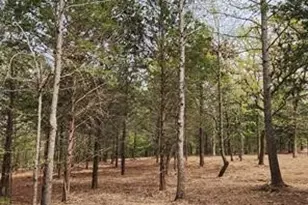 0 County Road 4710 Lot 465, LaRue, TX 75770 - Photo 6