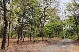 0 County Road 4710 Lot 465, LaRue, TX 75770 - Photo 4