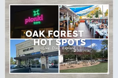 4422 De Milo Drive, Houston, TX 77092 - Photo 16