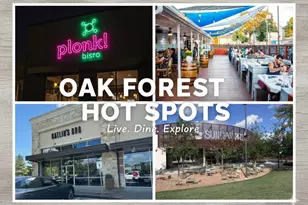 4422 De Milo Dr, Houston, TX 77092 - Photo 16