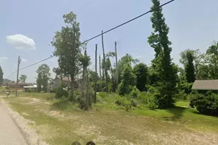 0 Laurel Cove W, Onalaska, TX 77360 - Photo 6