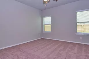 31339 Spotted Saddle Hollow, Fulshear, TX 77441 - Photo 10