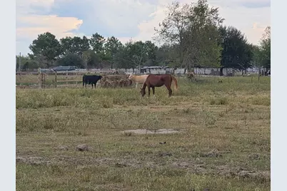 36847 Richard Frey 1-1 Road, Hempstead, TX 77445 - Photo 20
