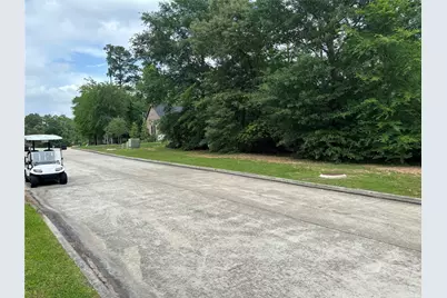 313 Pine Brook Drive, Montgomery, TX 77356 - Photo 2