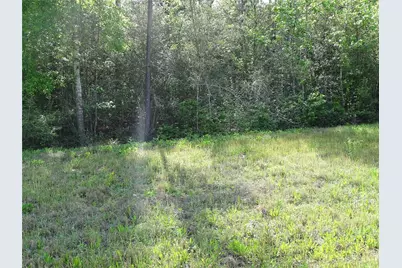 10774 Ruger Road, Willis, TX 77378 - Photo 2