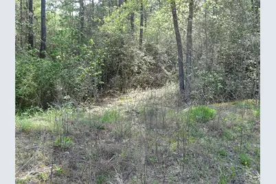 10774 Ruger Road, Willis, TX 77378 - Photo 12