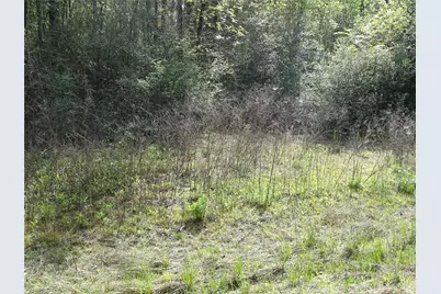 10774 Ruger Road, Willis, TX 77378 - Photo 4