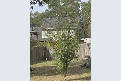 254 Maple Lane, Conroe, TX 77304 - Photo 26