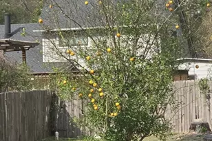 254 Maple Ln, Conroe, TX 77304 - Photo 26