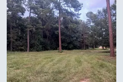 24140 Grand Pines Road, Magnolia, TX 77355 - Photo 2
