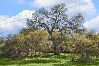 10137 Fm-390 W, Burton, TX 77835 - Photo 44