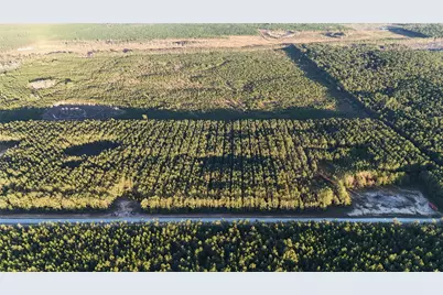 7990 Carter Ranch Road, Kountze, TX 77625 - Photo 2