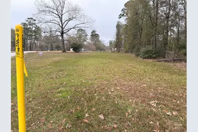 2107 Roman Forest Boulevard, New Caney, TX 77357 - Photo 20